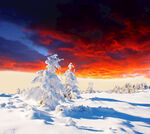 冬季雪景