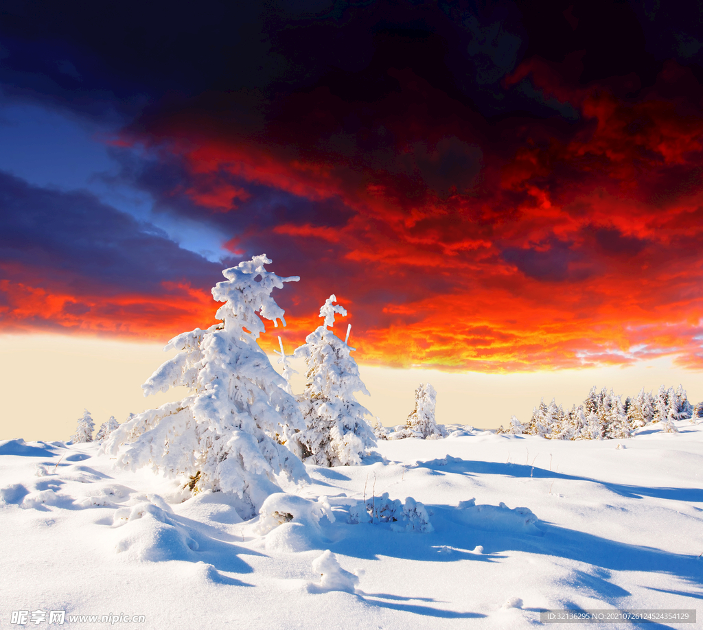 冬季雪景