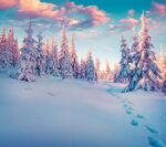 冬季雪景