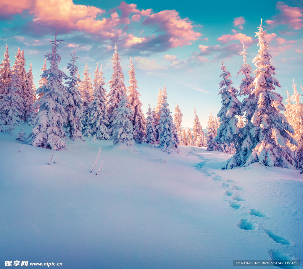 冬季雪景