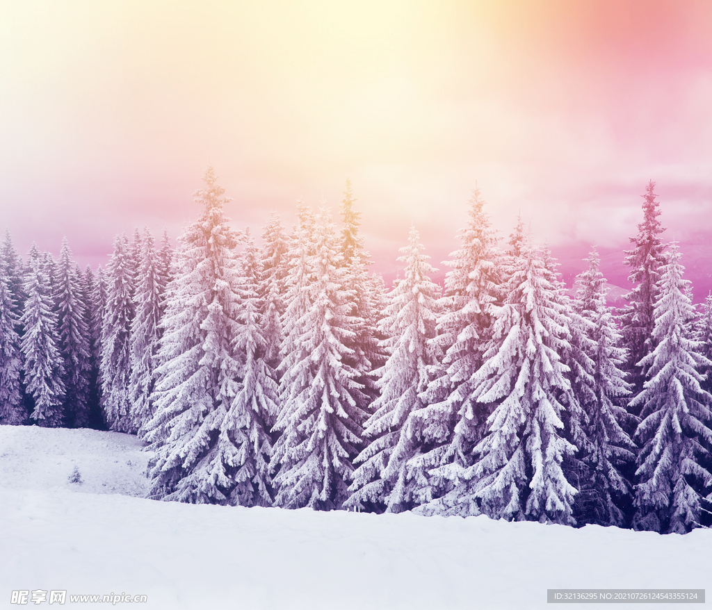 冬季雪景