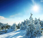 冬季雪景