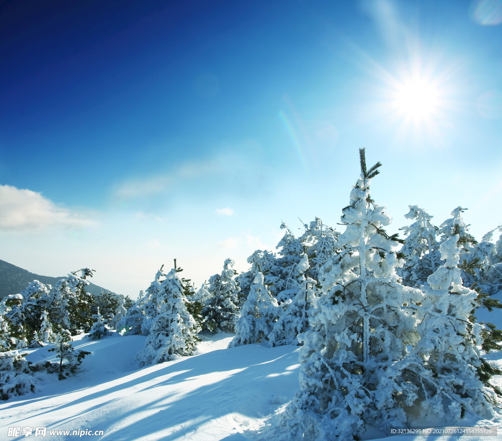 冬季雪景