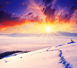 冬季雪景