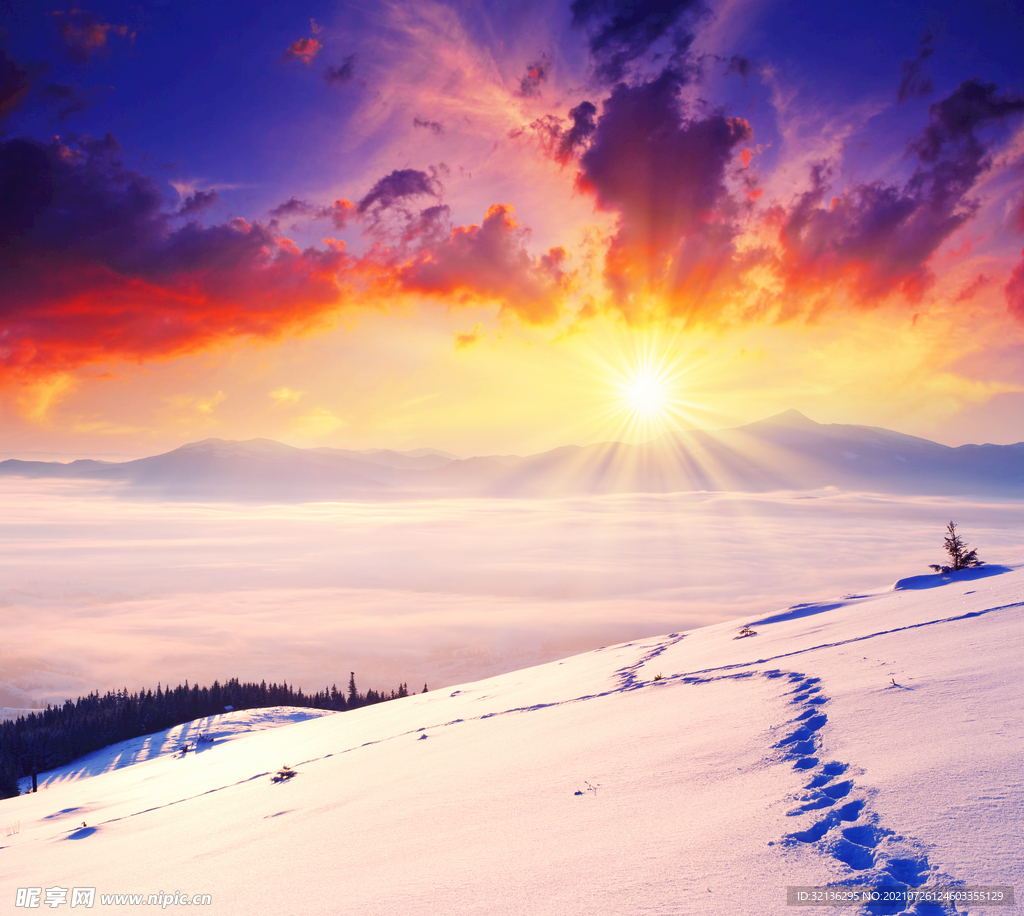 冬季雪景