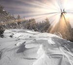 冬季雪景