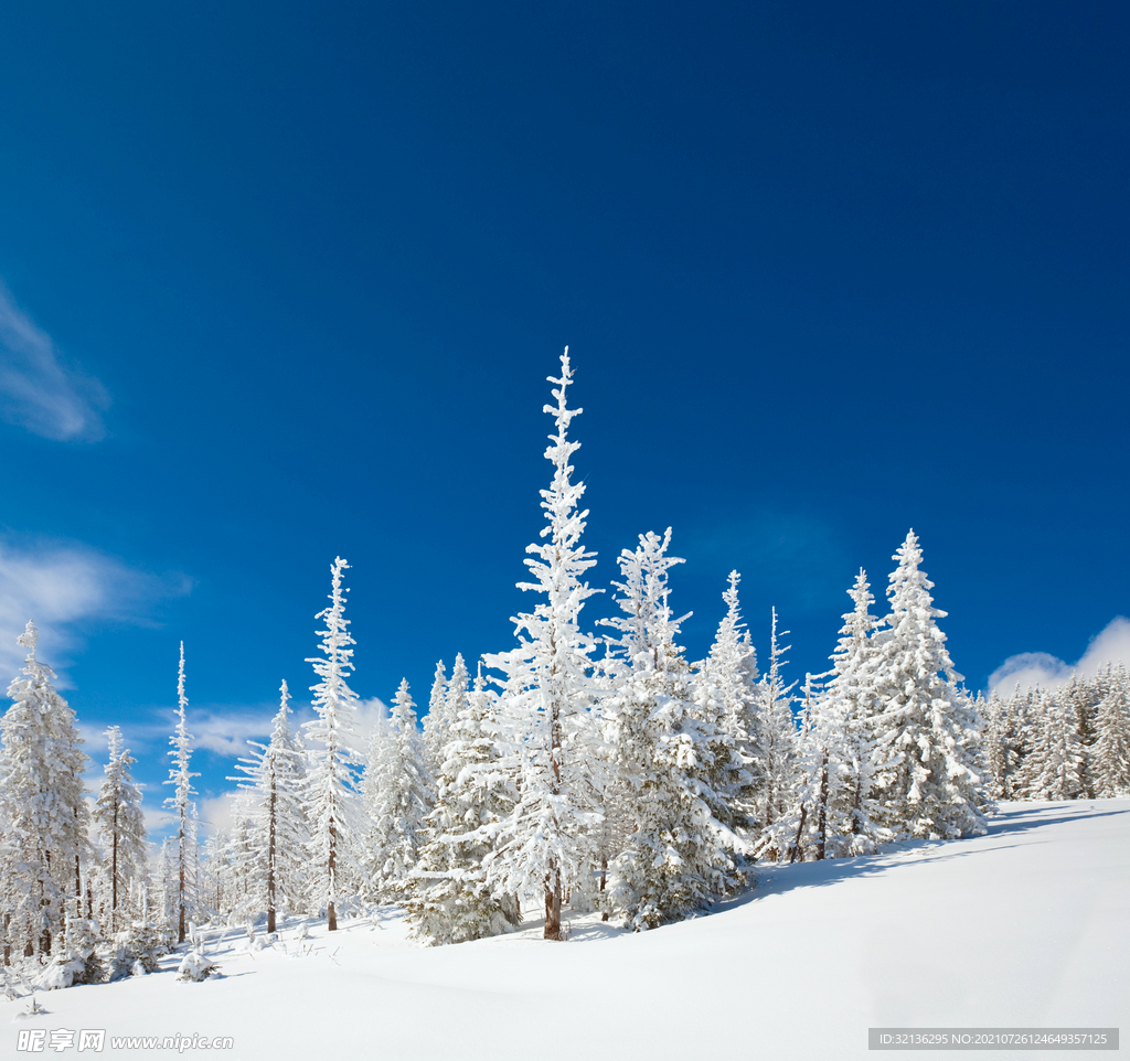 冬季雪景