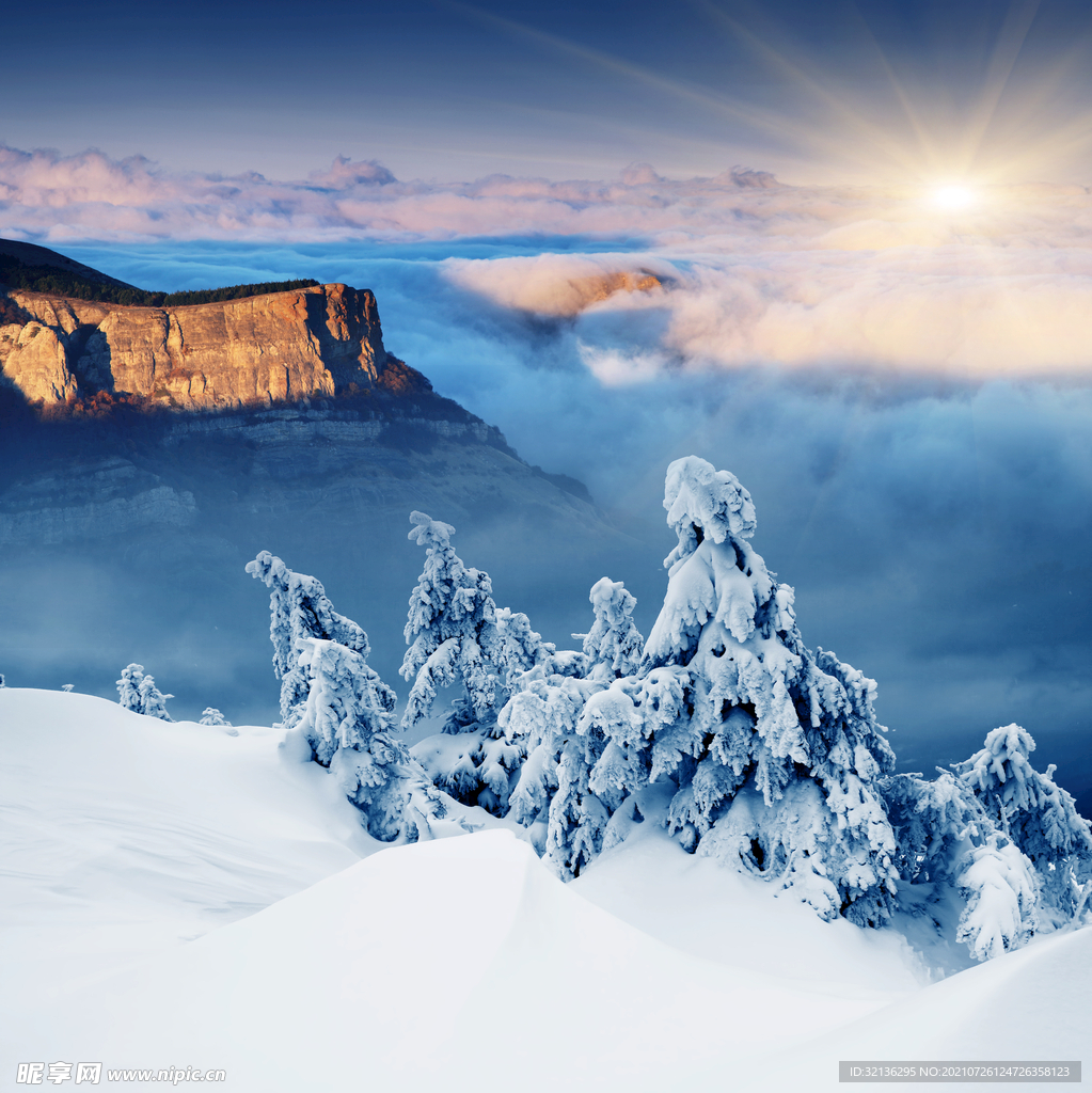 冬季雪景