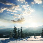 冬季雪景