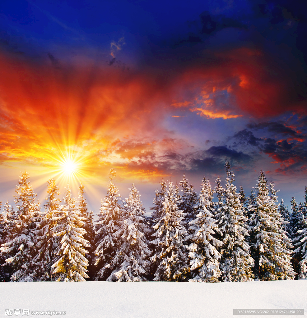 冬季雪景