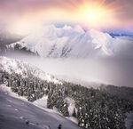 冬季雪景