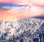 冬季雪景