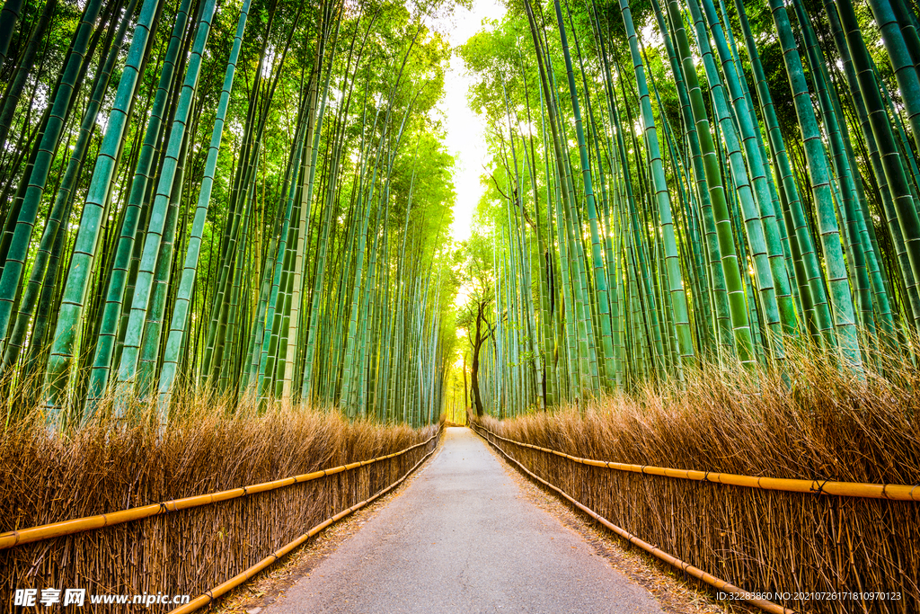 日本旅游