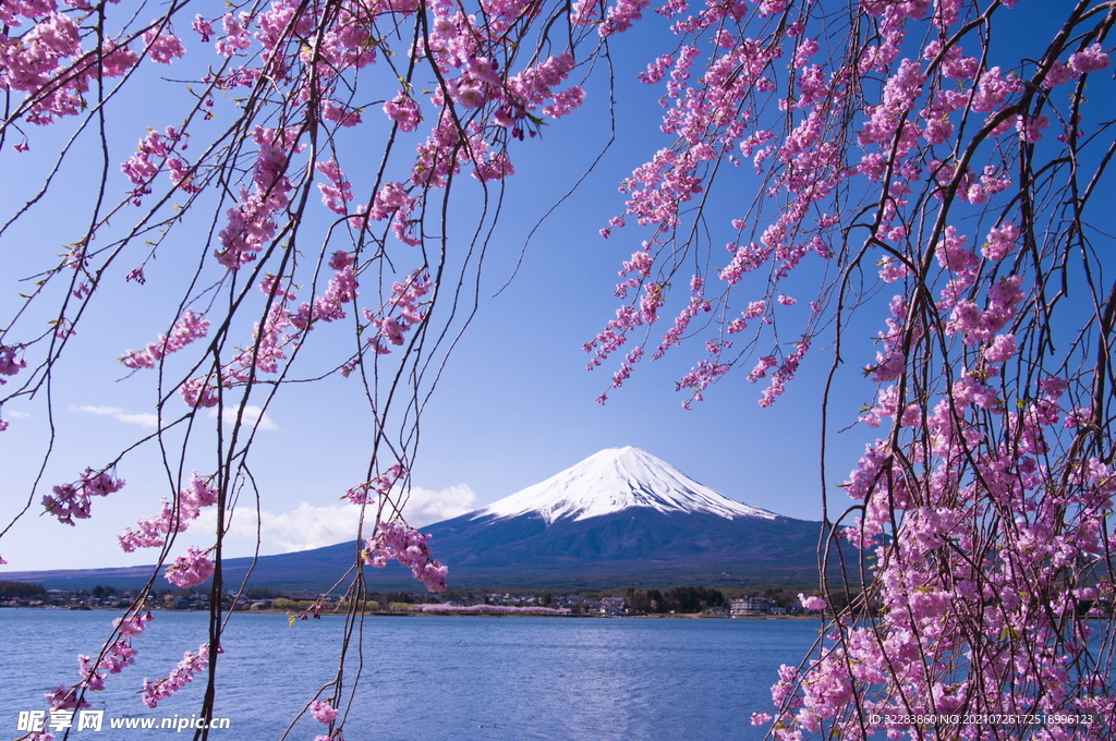 日本旅游