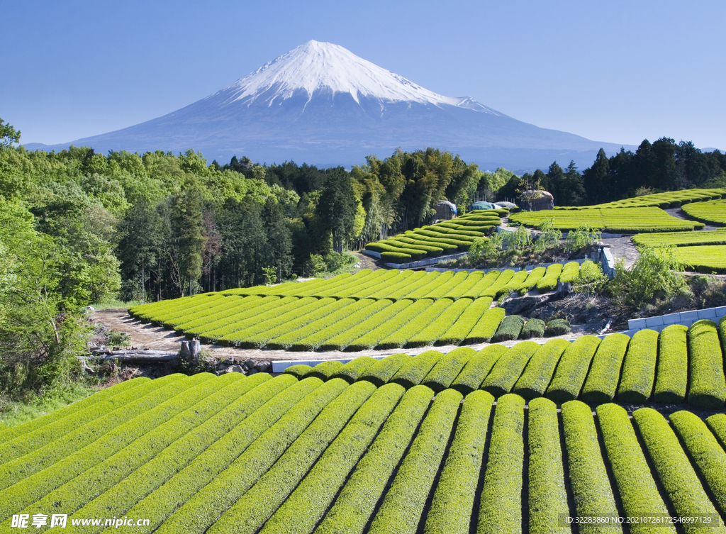 日本旅游