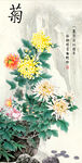 菊