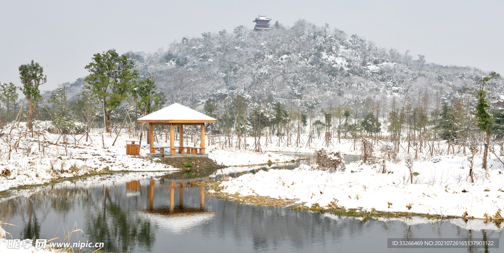 绍兴湿地公园雪景