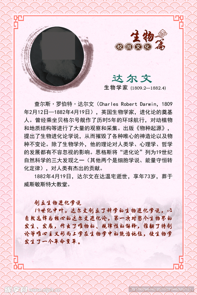 文化背景墙 学校知识 企业文化