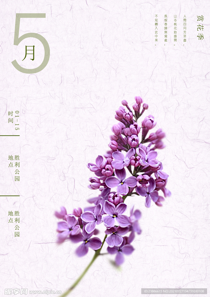 5月唯美薰衣草海报