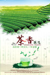 茶叶 