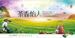 茶叶 