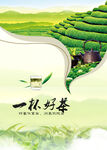 茶叶 