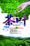 茶叶 