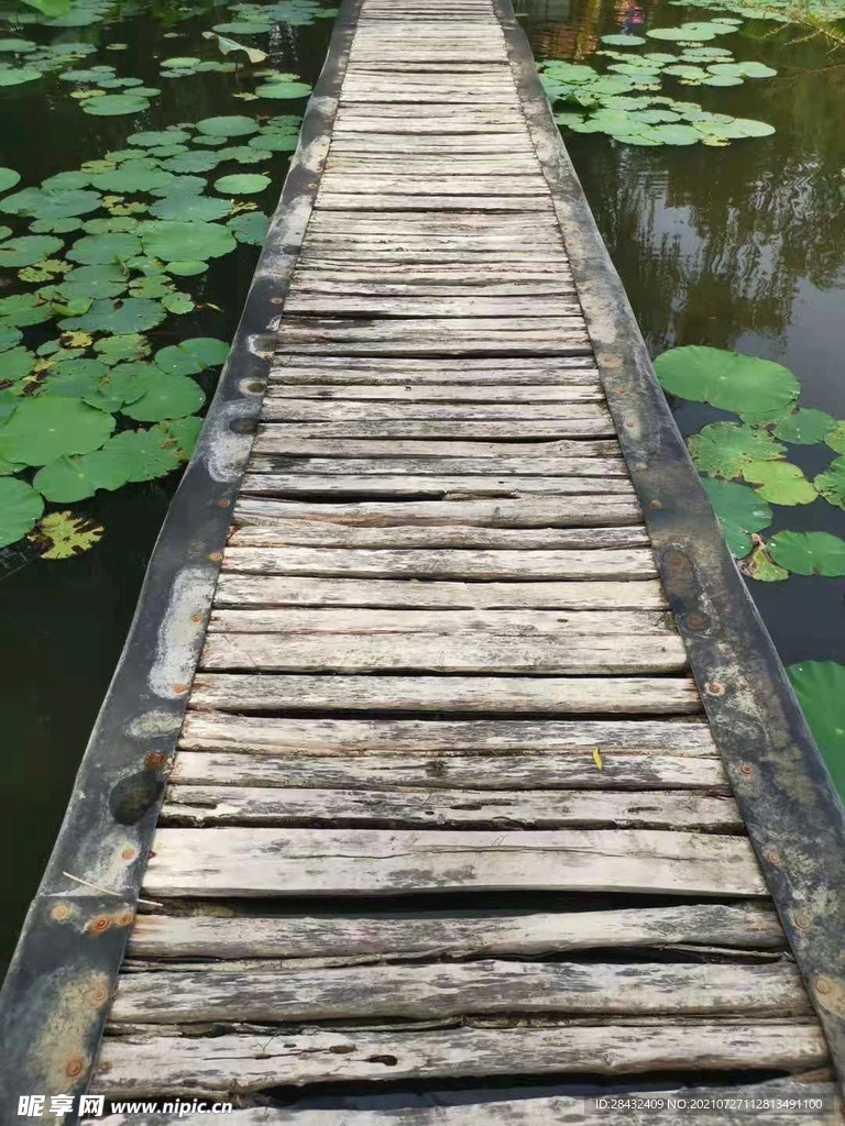 荷叶桥