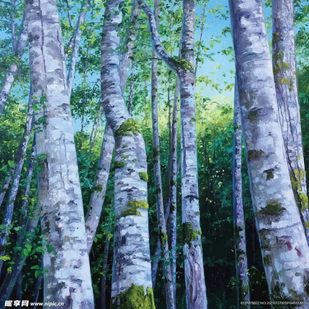 植物树木树林油画