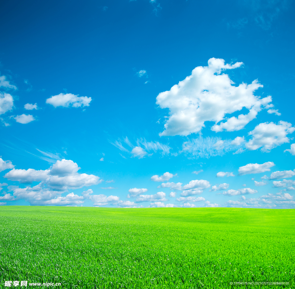 草地草场