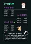 宠物价格表