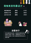 宠物价格表
