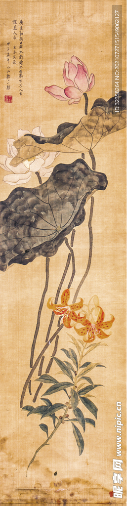 水墨荷花