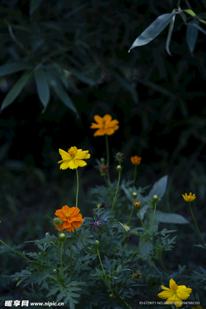 花