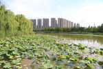 湖边建筑