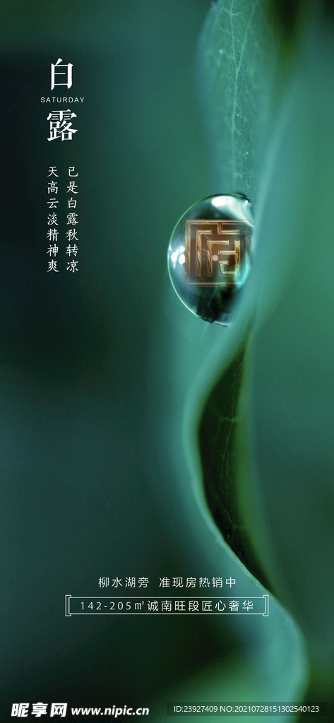 白露