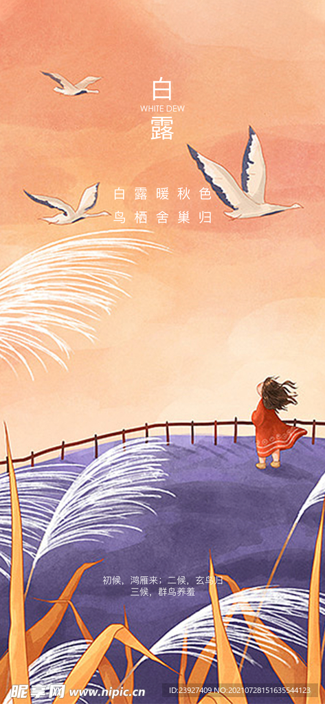 白露
