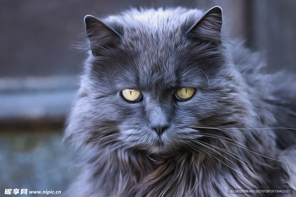 猫