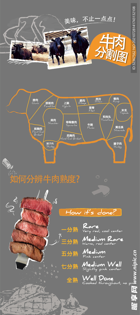 牛肉分割图