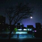 月圆之夜