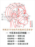 头疗经络图完美结合