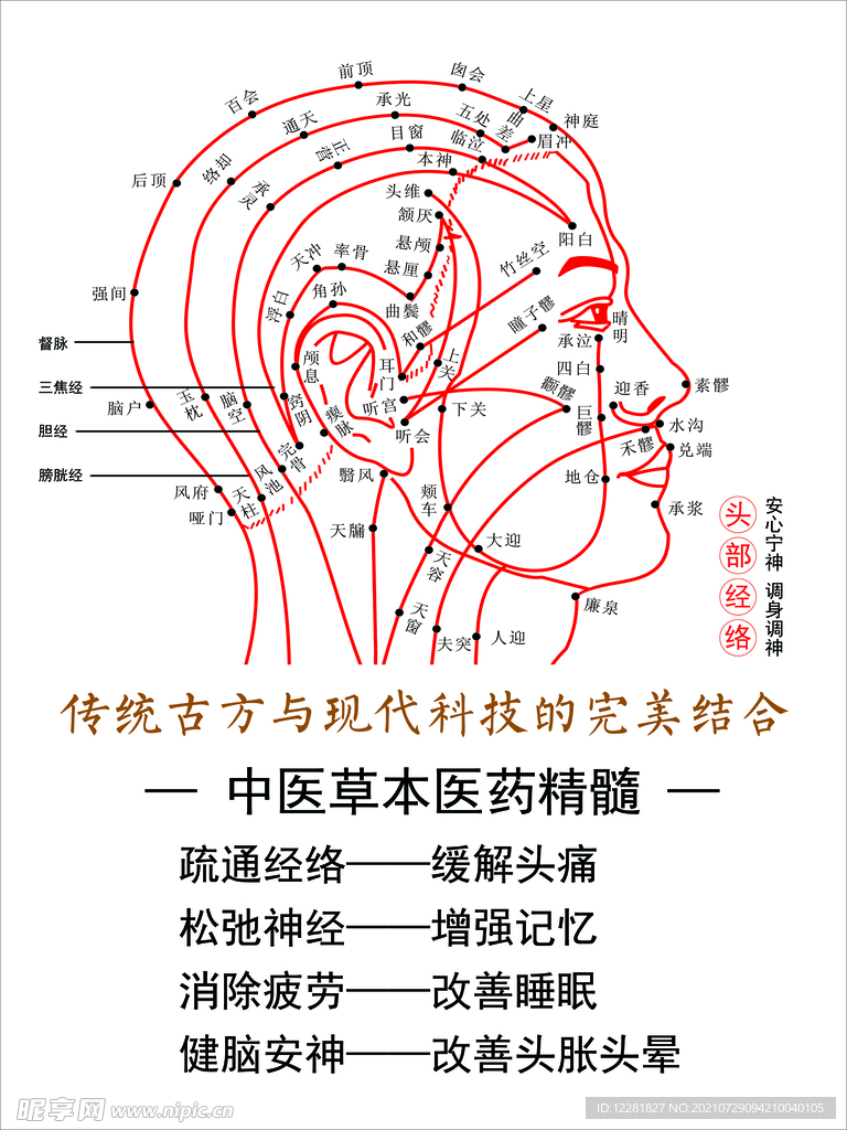 头疗经络图完美结合