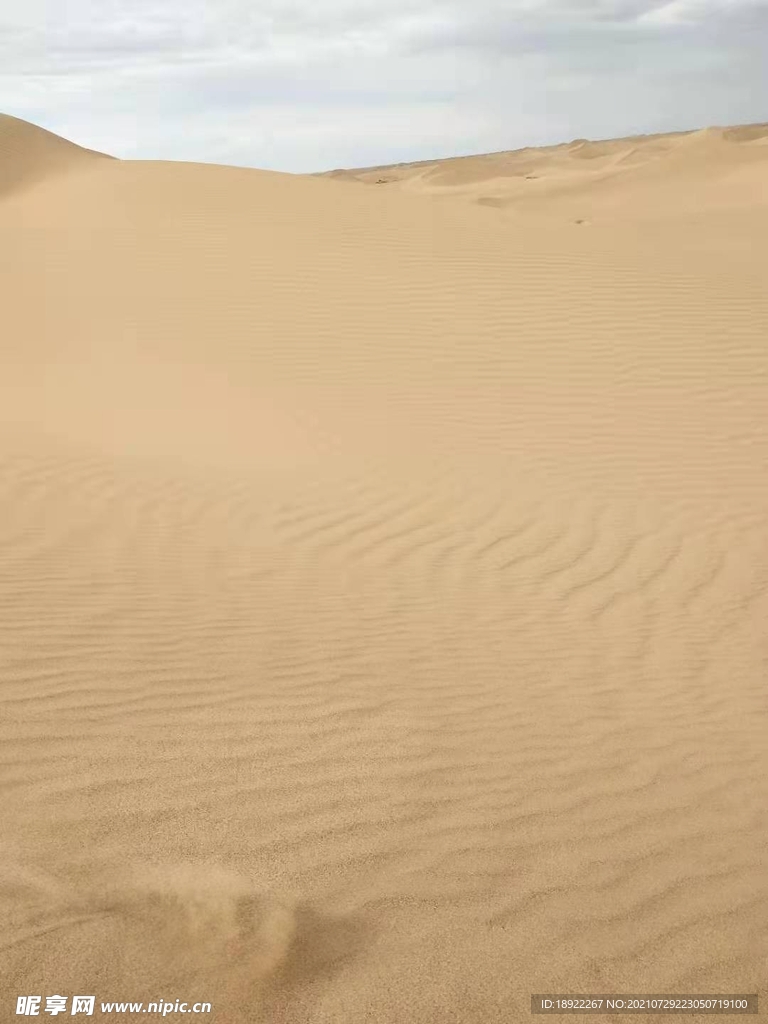 沙漠