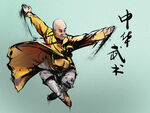 中华武术