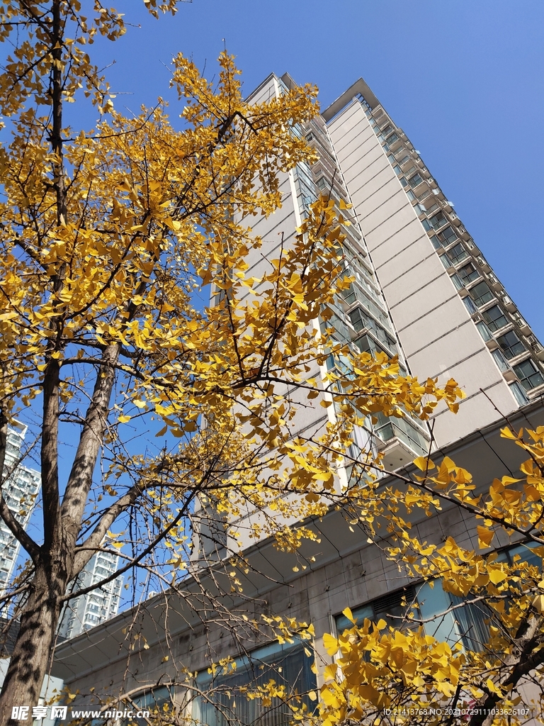 城市建筑风景 