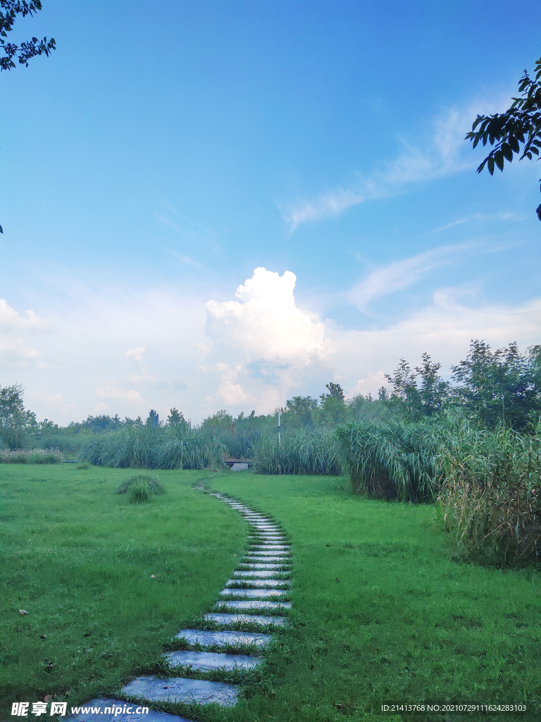 清新自然风景