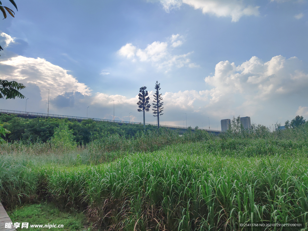 清新自然风景 