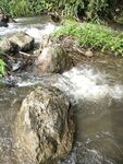 山里的河水