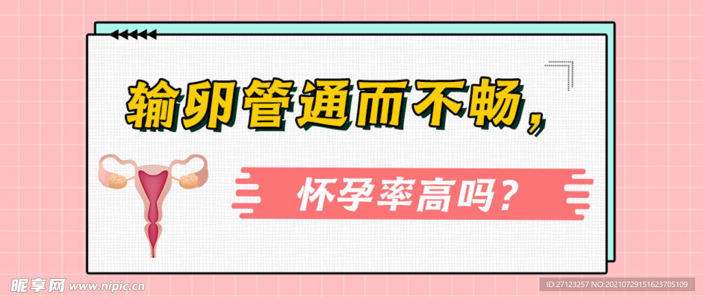 胎停育封面图