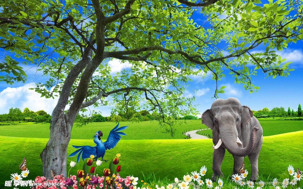 绿草地上悠闲的大象